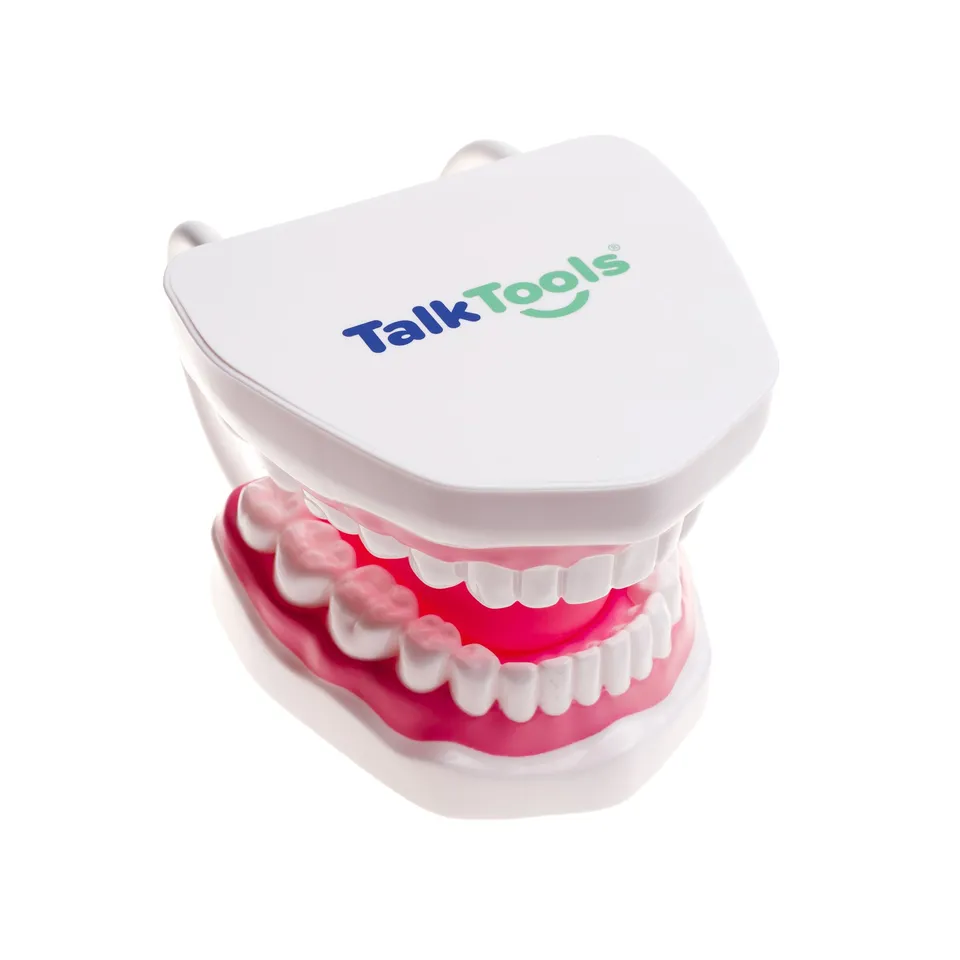 TalkTools Mouth Demonstrator dimostratore bocca logopedia