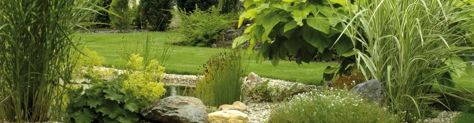 Beta Formazione Garden Design corso online giardino privato