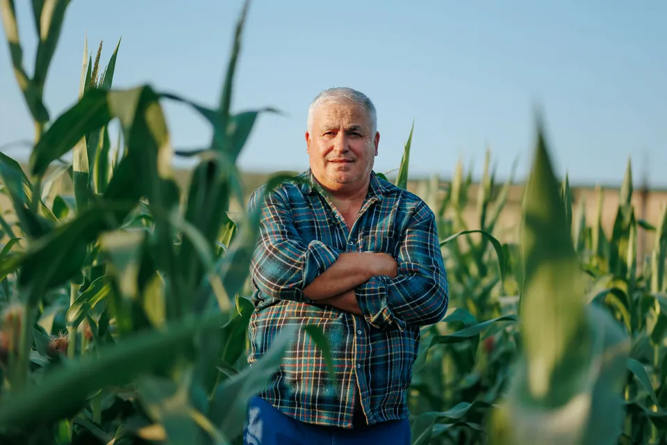 Lisa Servizi Corso RLS Agricoltura rappresentante lavoratori 32 ore online