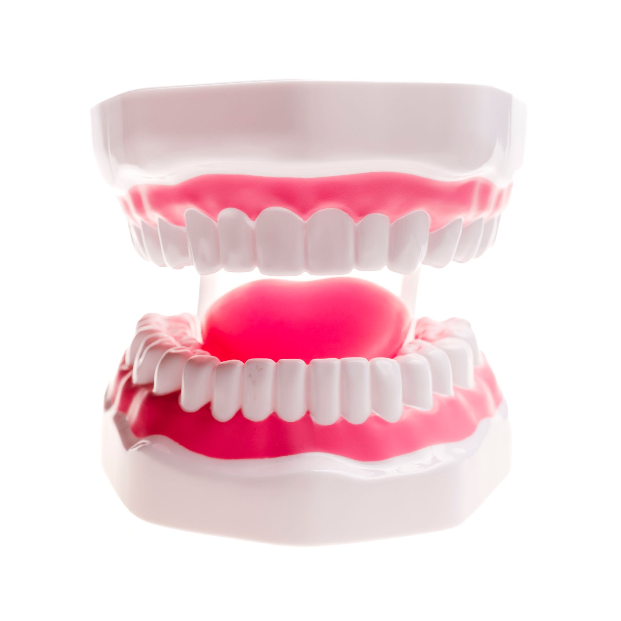 TalkTools Mouth Demonstrator dimostratore bocca logopedia