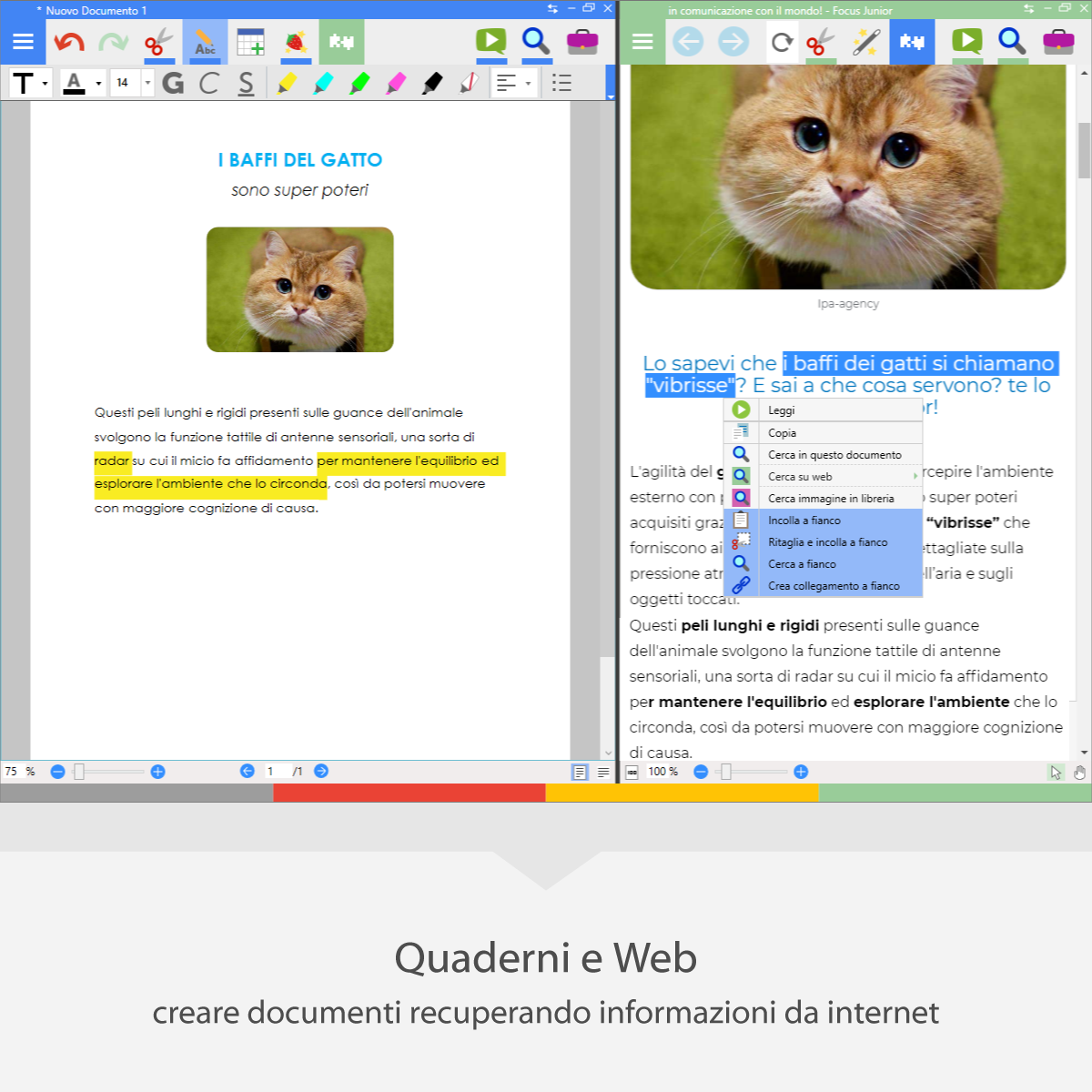 Anastasis Geco software compensativo DSA BES