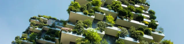 Beta Formazione Aree verdi corso online progettazione giardini