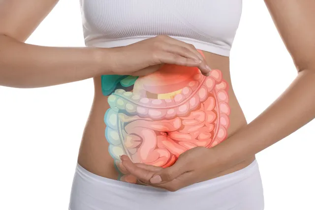 Lisa Servizi Intestino e sistema nervoso corso benessere