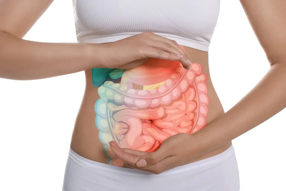 Lisa Servizi Intestino e sistema nervoso corso benessere