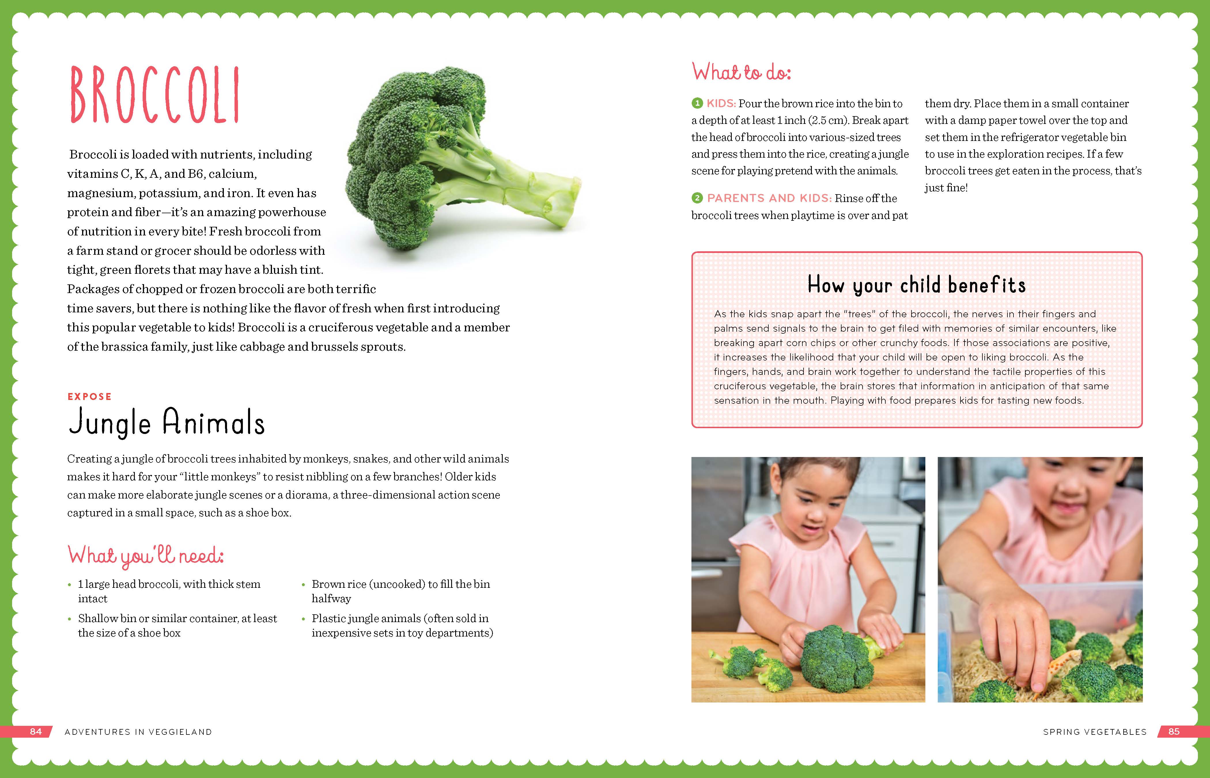 TalkTools Adventures in Veggieland libro 100 attività verdure