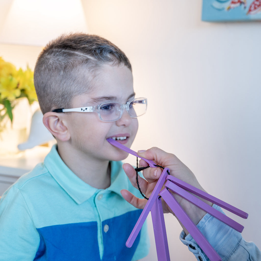 TalkTools Sensory Friendly Bite Blocks blocchi viola