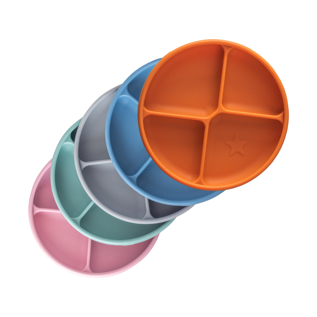 TalkTools Itsy Plate piatto silicone autosvezzamento 4 scomparti