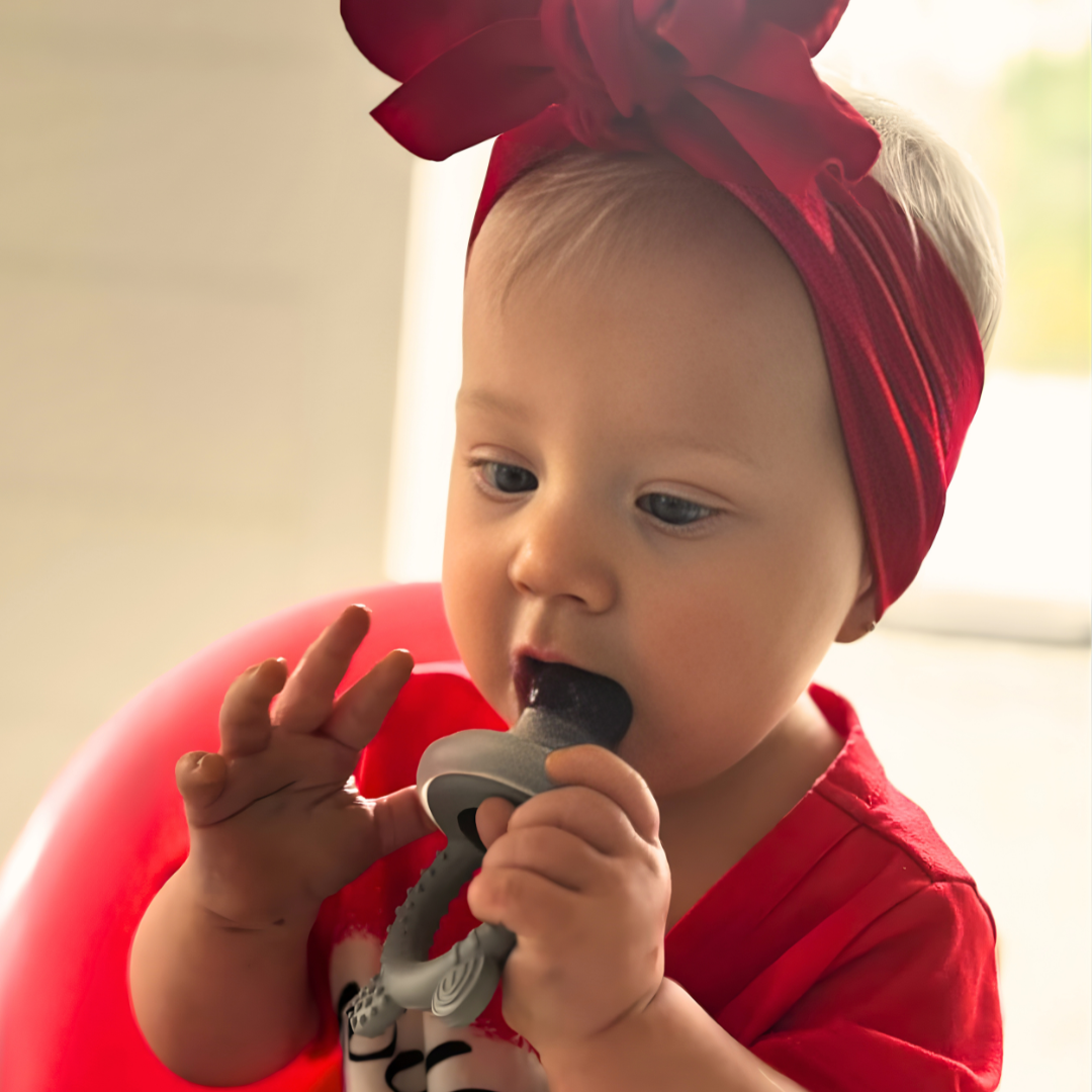 TalkTools Baby Feeder ciuccio frutta silicone con vassoio