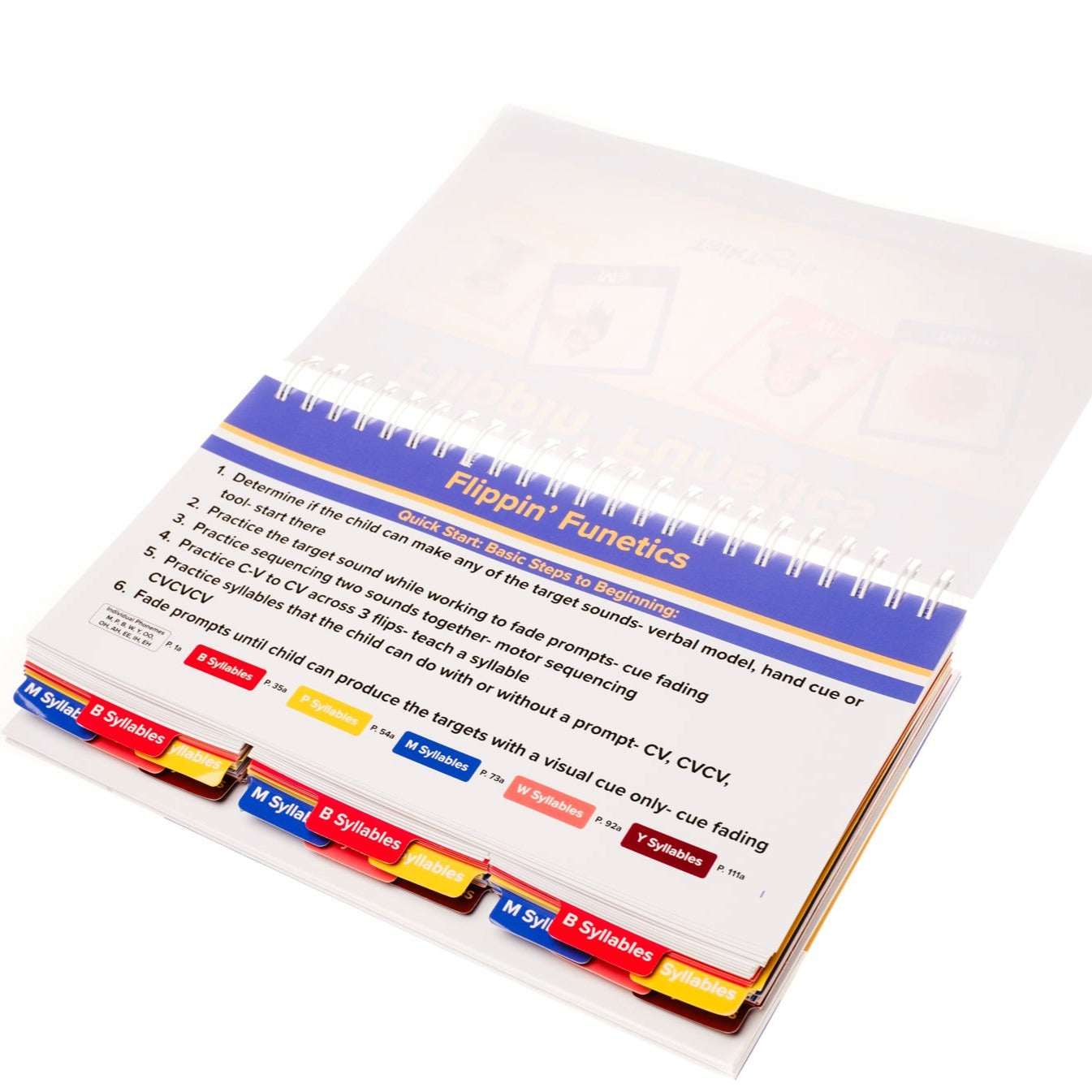 TalkTools Flippin Funetics kit fonologia flip book