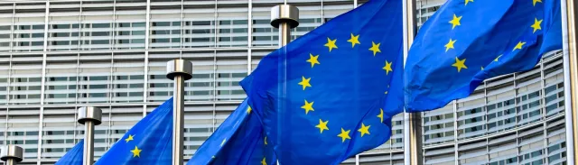 BETA FORMAZIONE Istituzioni UE corso online organi