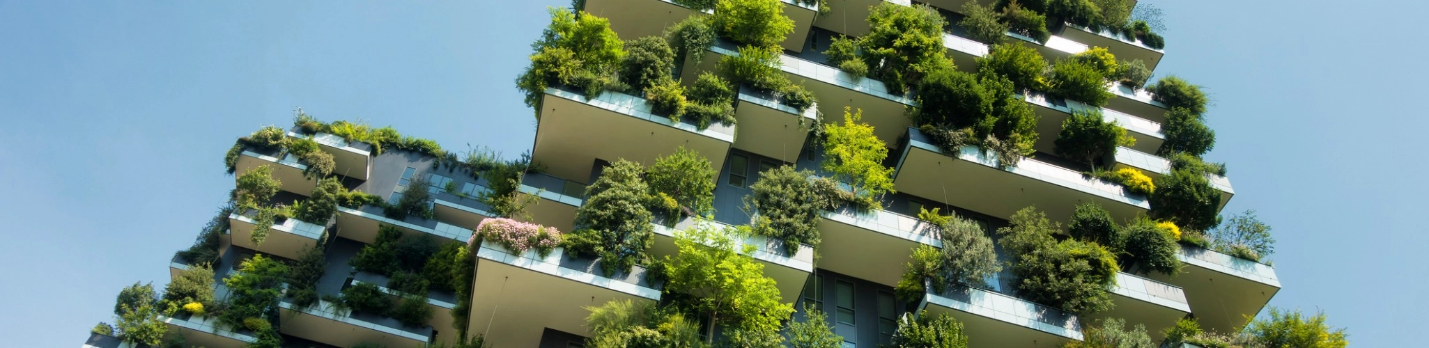 Beta Formazione Aree verdi corso online progettazione giardini